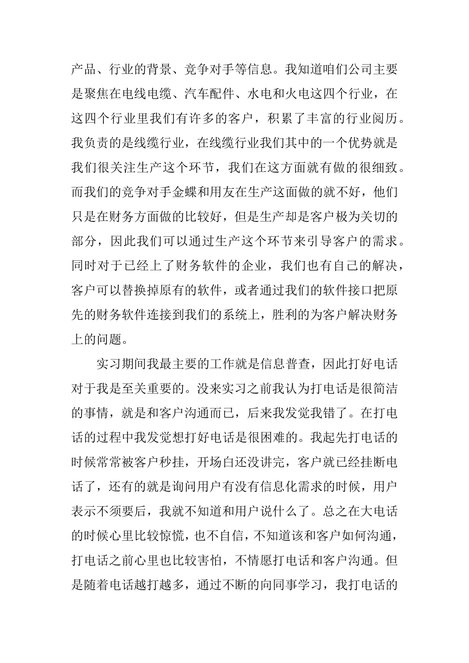 销售员实习工作总结精编.docx_第2页