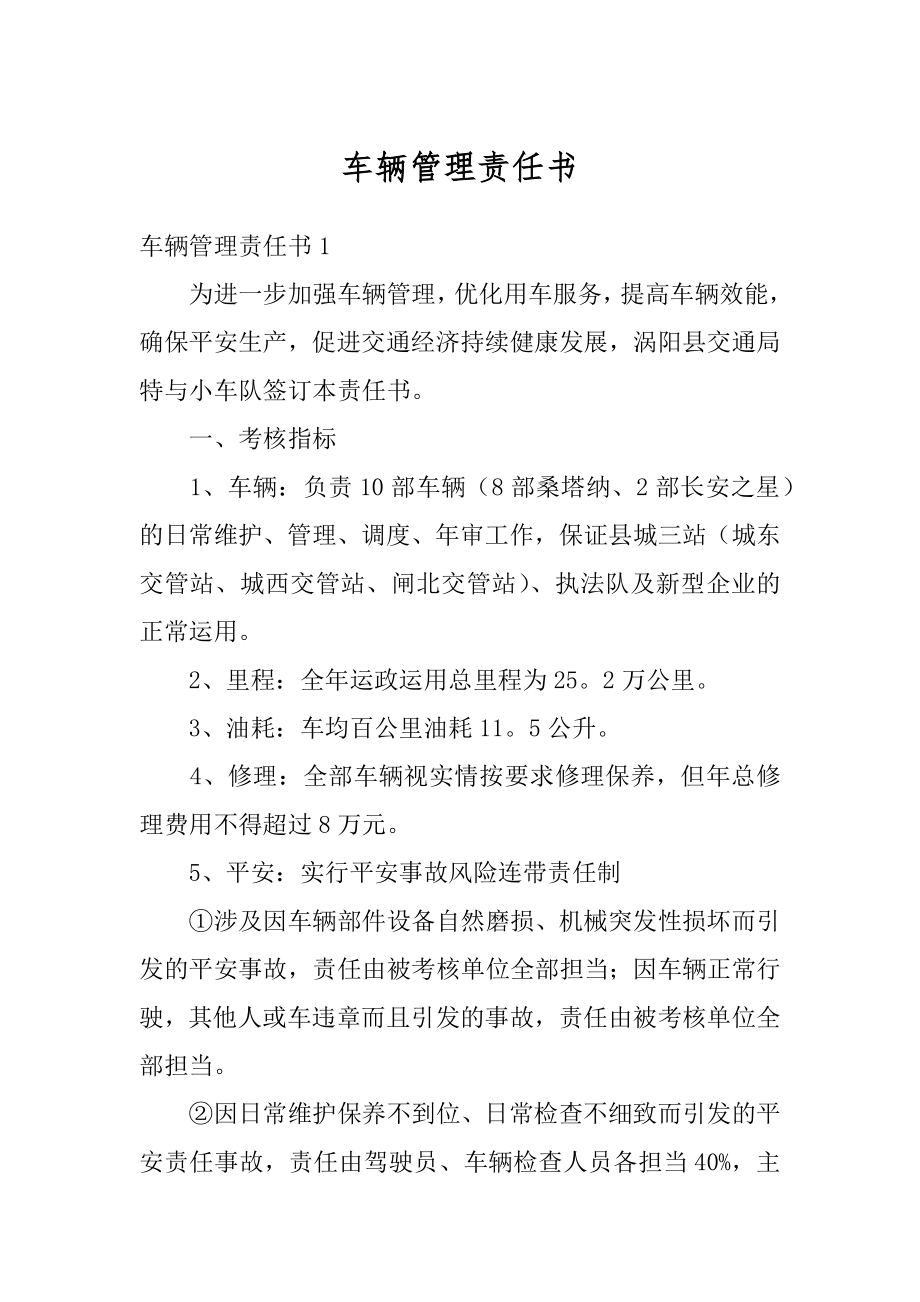 车辆管理责任书范本.docx_第1页