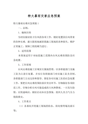 特大暴雨灾害应急预案范文.docx