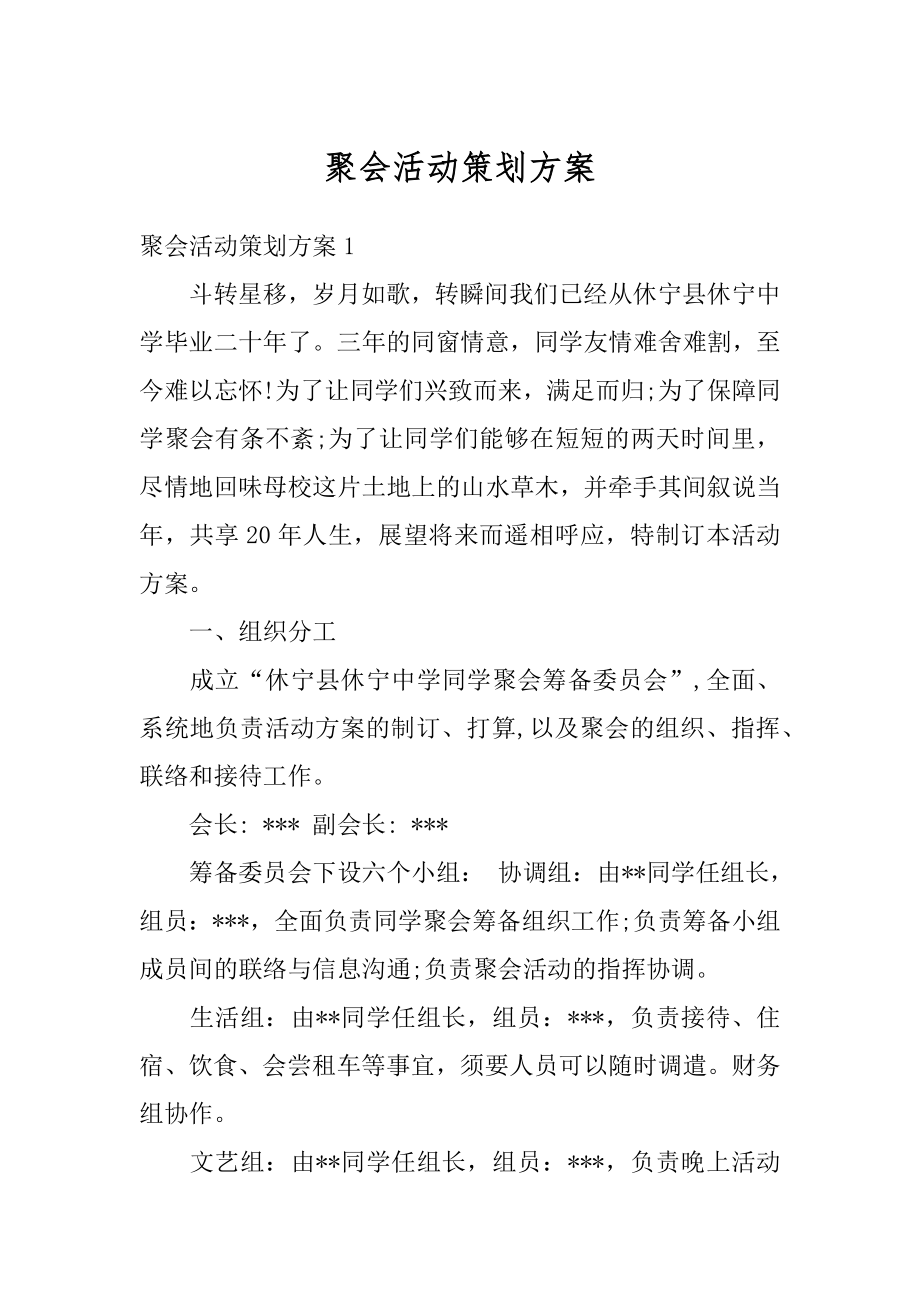 聚会活动策划方案优质.docx_第1页