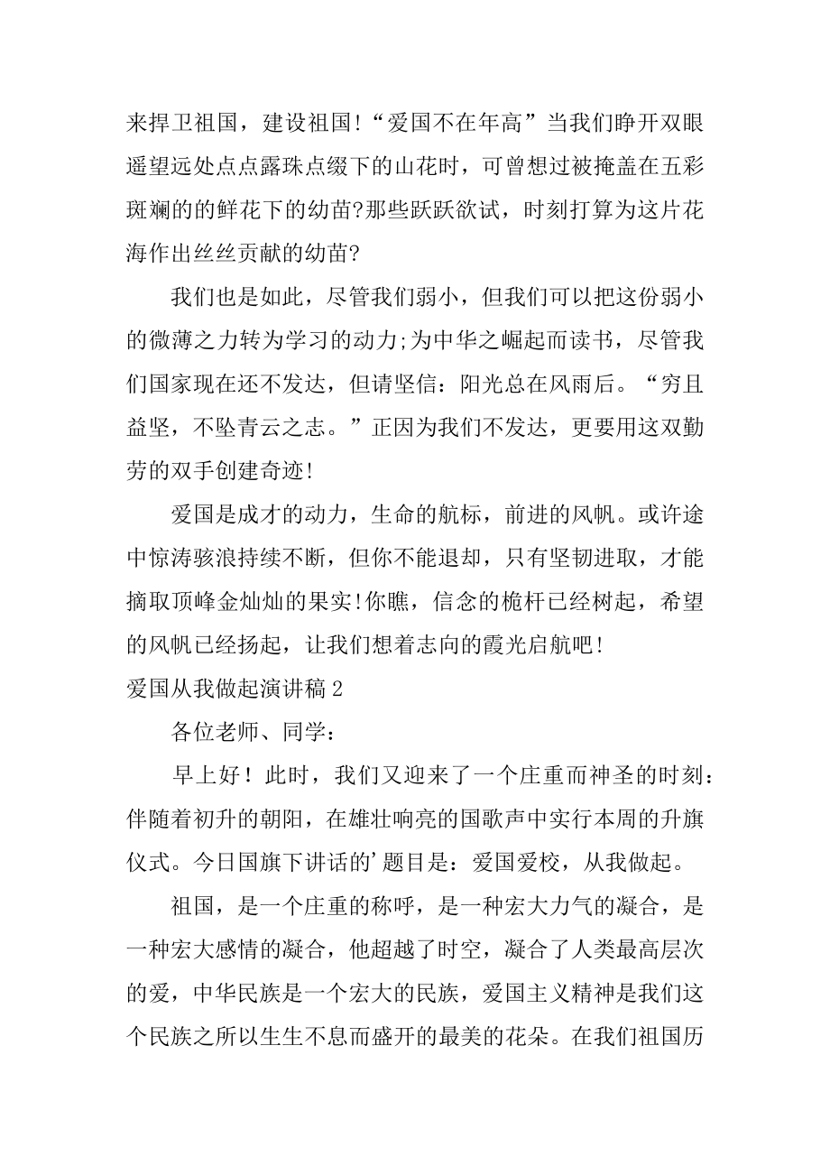 爱国从我做起演讲稿精选.docx_第2页