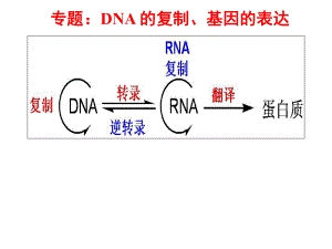 专题-基因的表达ppt课件.ppt