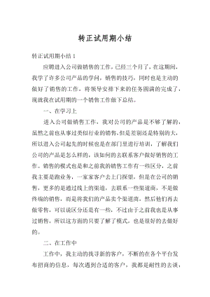 转正试用期小结精编.docx