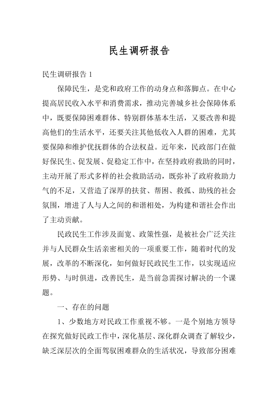 民生调研报告范例.docx_第1页