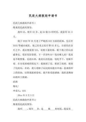 民政大病救助申请书精编.docx