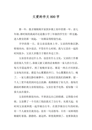 父爱的作文800字精选.docx