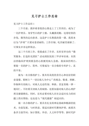 见习护士工作总结范文.docx