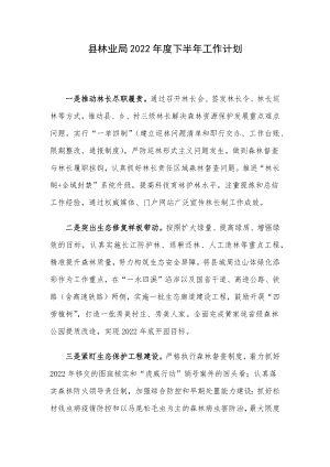 县林业局2022年度下半年工作计划.docx