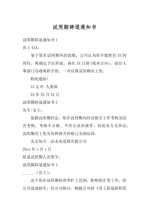 试用期辞退通知书范例.docx