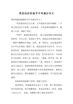 那些灿烂的细节中考满分作文汇总.docx