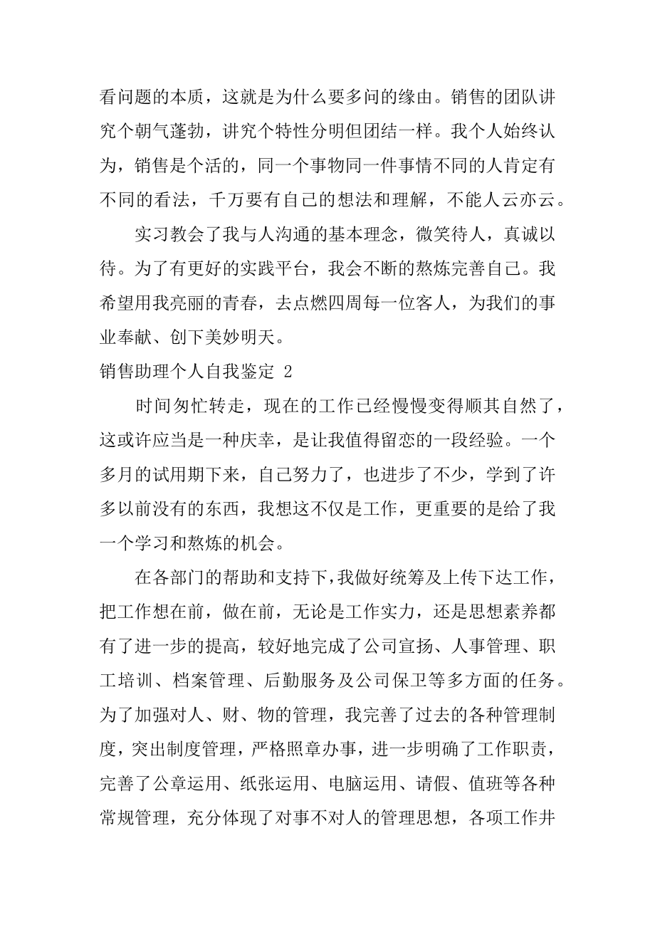 销售助理个人自我鉴定例文.docx_第2页