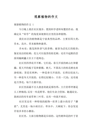 观察植物的作文优质.docx