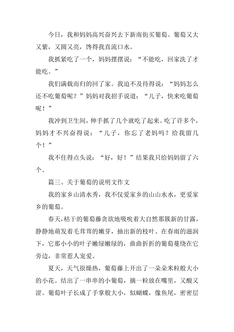 葡萄的说明文作文精编.docx_第2页