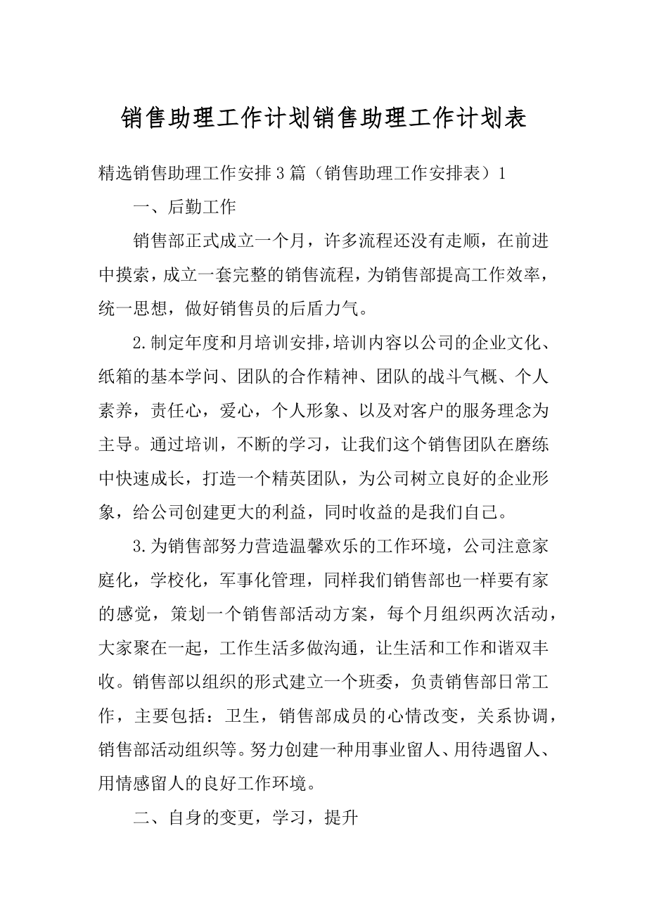 销售助理工作计划销售助理工作计划表范文.docx_第1页