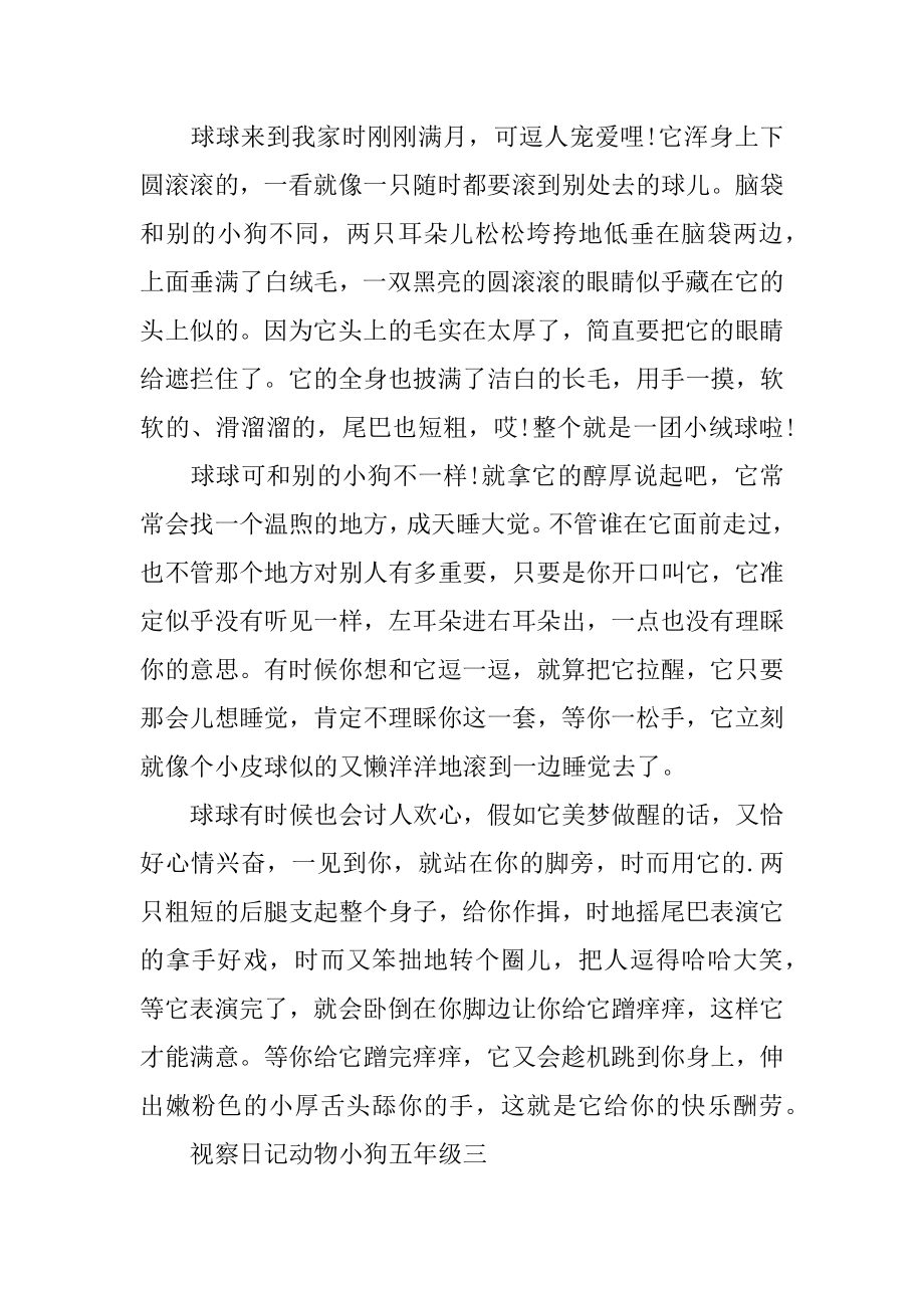 观察日记动物小狗五年级精选.docx_第2页