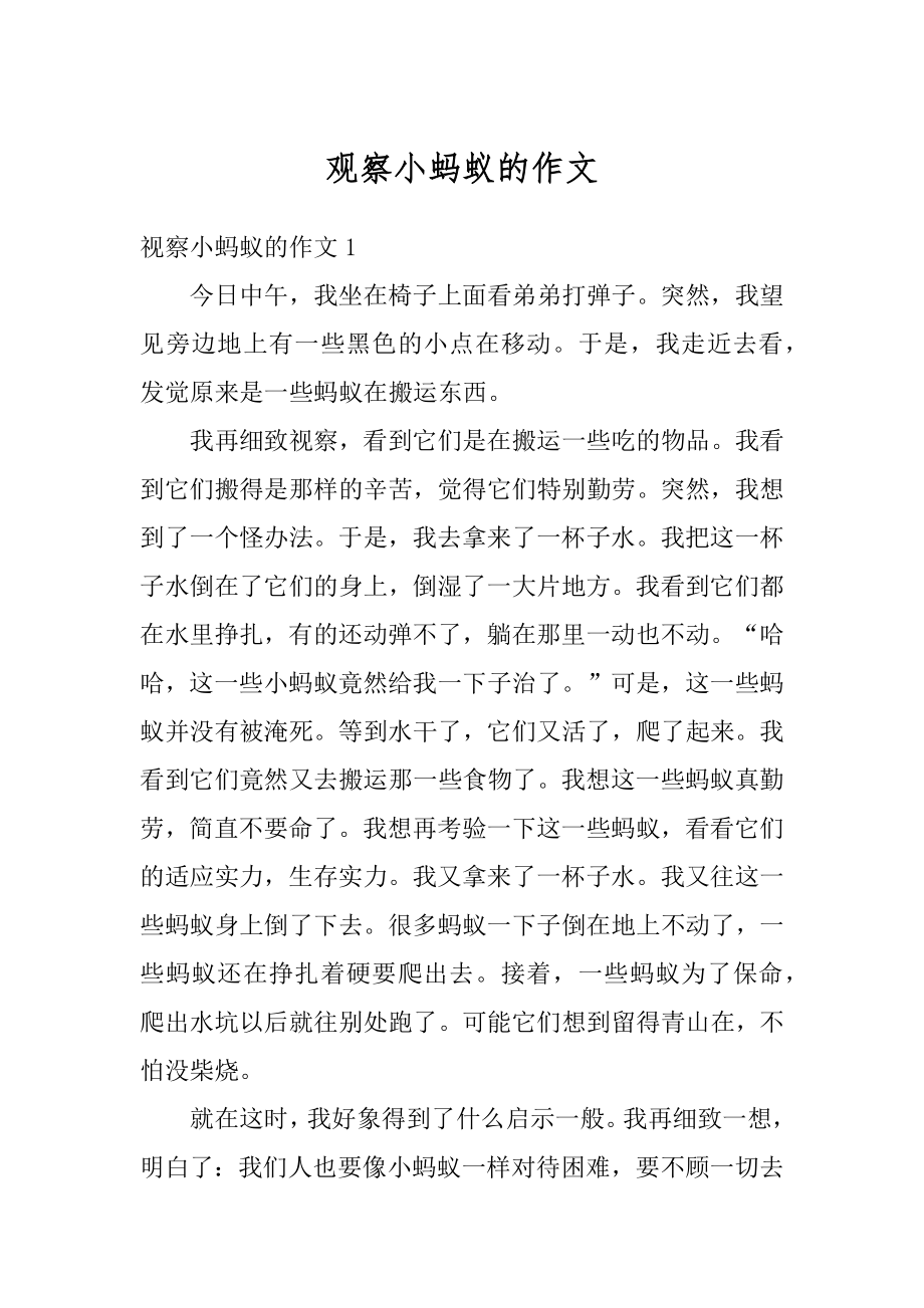 观察小蚂蚁的作文精编.docx_第1页