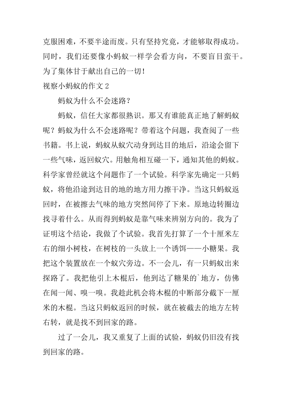 观察小蚂蚁的作文精编.docx_第2页