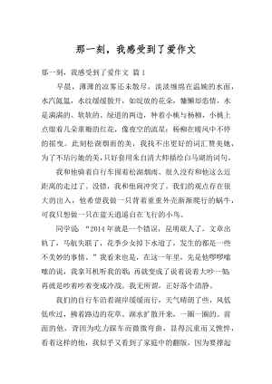 那一刻我感受到了爱作文汇总.docx