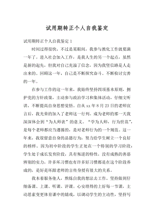 试用期转正个人自我鉴定汇总.docx