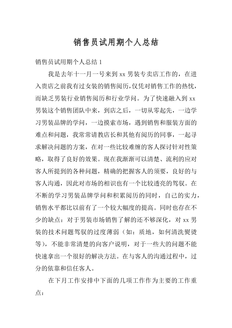 销售员试用期个人总结汇总.docx_第1页