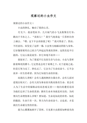 观察过的小虫作文汇编.docx