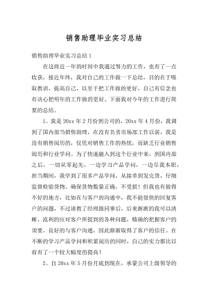 销售助理毕业实习总结汇总.docx