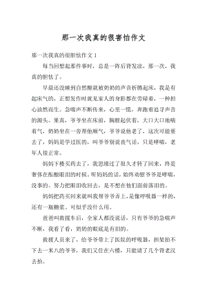 那一次我真的很害怕作文精选.docx