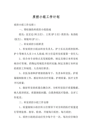 质控小组工作计划汇编.docx