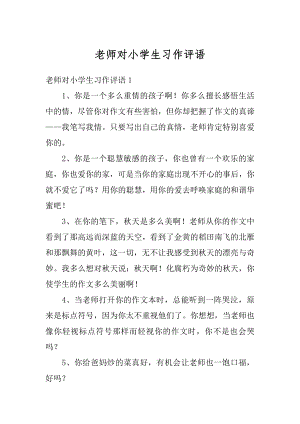 老师对小学生习作评语汇总.docx