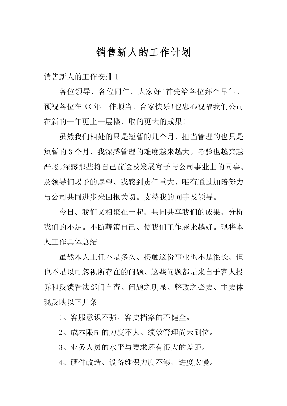 销售新人的工作计划范本.docx_第1页