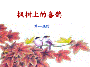 《枫树上的喜鹊》名师课件(第一课时)ppt.ppt