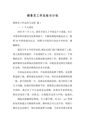 销售员工作总结与计划精编.docx