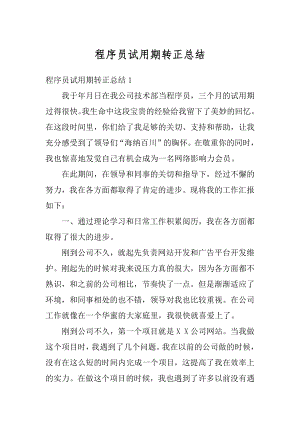 程序员试用期转正总结例文.docx