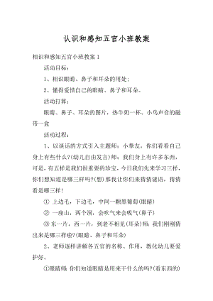 认识和感知五官小班教案例文.docx