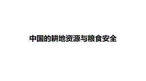 中国的耕地资源与粮食安全--高考地理一轮复习课件.pptx