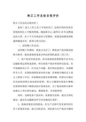 转正工作总结自我评价例文.docx