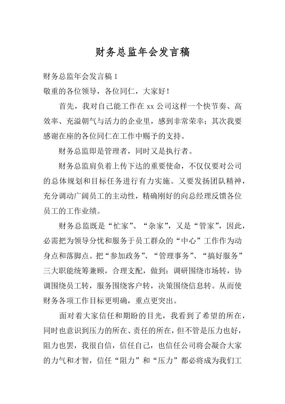 财务总监年会发言稿精品.docx_第1页