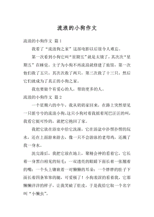 流浪的小狗作文汇编.docx