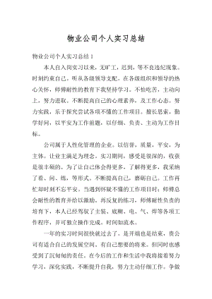 物业公司个人实习总结精编.docx