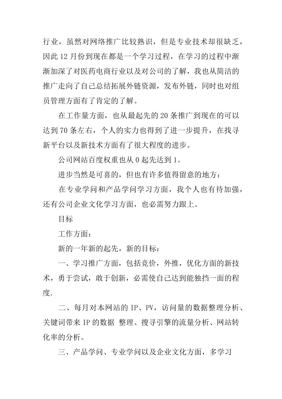 网站年度工作计划优质.docx_第2页