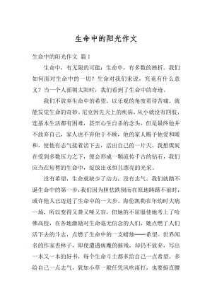 生命中的阳光作文精选.docx