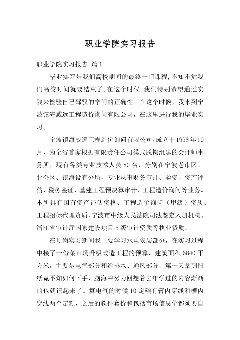 职业学院实习报告例文.docx_第1页