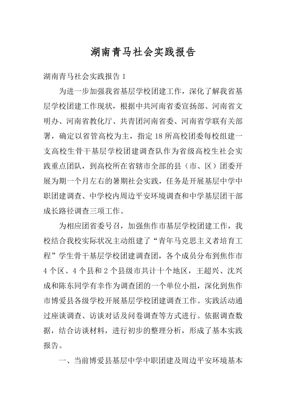 湖南青马社会实践报告汇总.docx_第1页