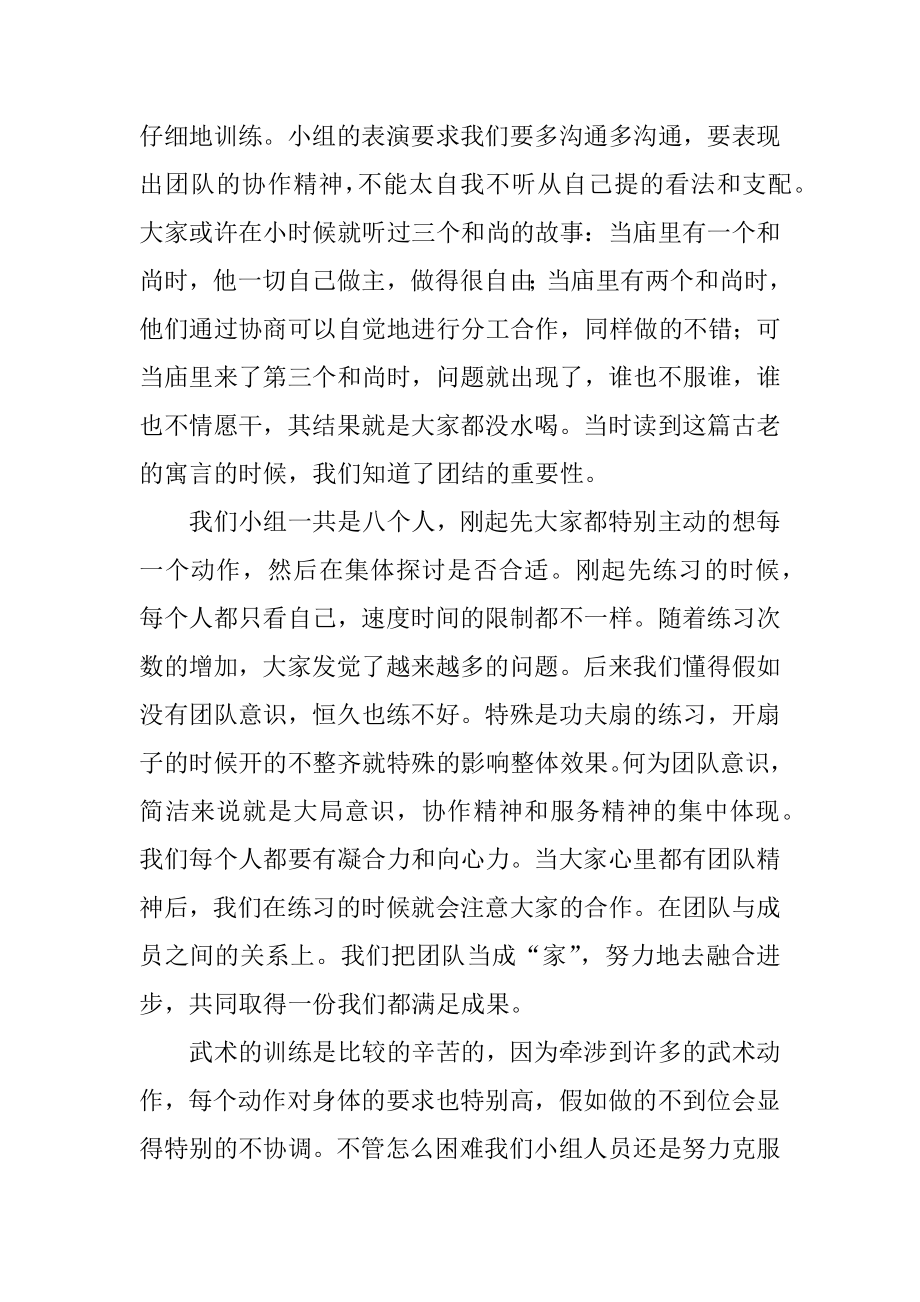 武术社会实践报告范例.docx_第2页