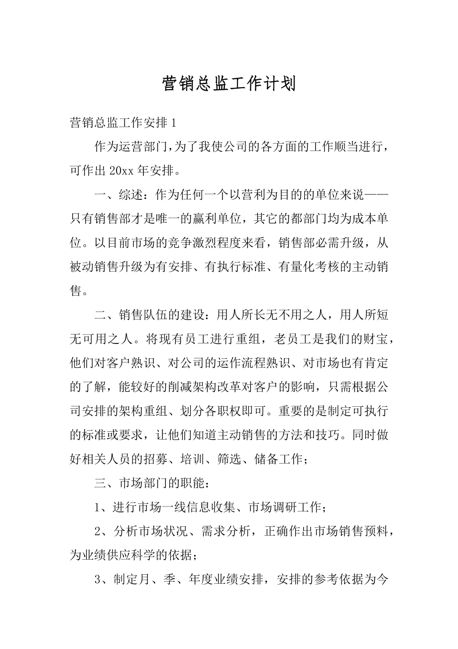 营销总监工作计划精编.docx_第1页