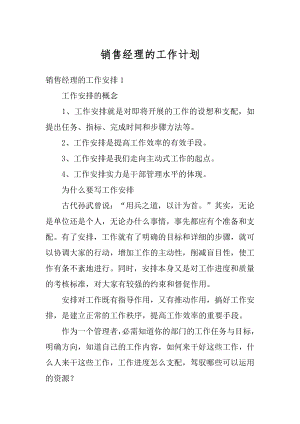 销售经理的工作计划最新.docx