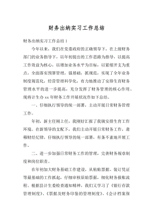 财务出纳实习工作总结例文.docx