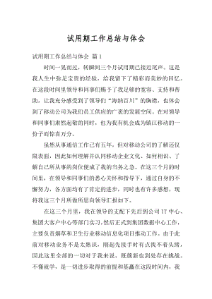 试用期工作总结与体会精选.docx