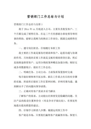 营销部门工作总结与计划精选.docx