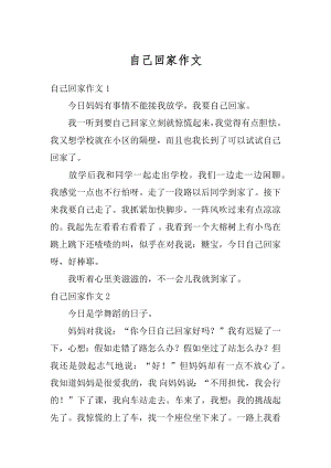 自己回家作文精编.docx